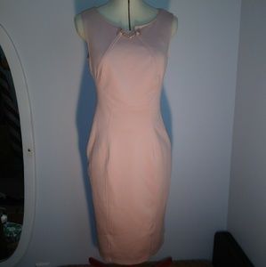 Enfocus Pink Bodycon Dress
